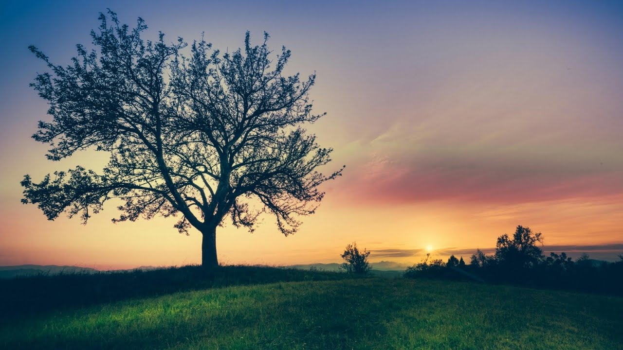 Soothing Zen Meditation Music 40 Minutes | Relax & Unwind #meditation #zenmusic #soothingmusic 