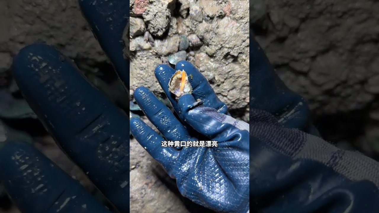 Spicy Snail Hole Revelation! Uncover the Truth Behind Beach Fun