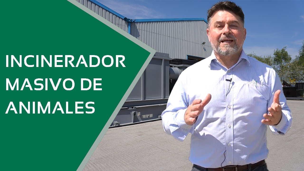 Descubra la incineradora de animales de 1.000 kg a la hora: &iexcl;impresionante y descomunal!