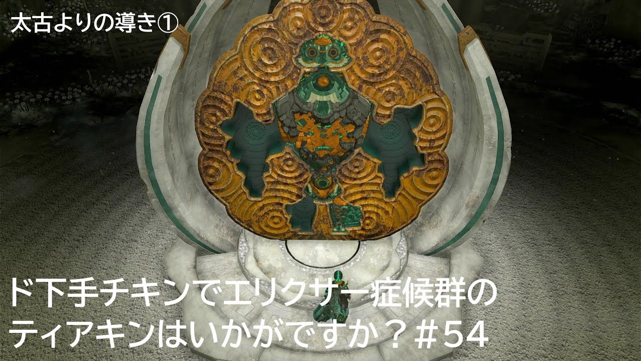 ド下手チキンでエリクサー症候群のティアキンはいかがですか？#54