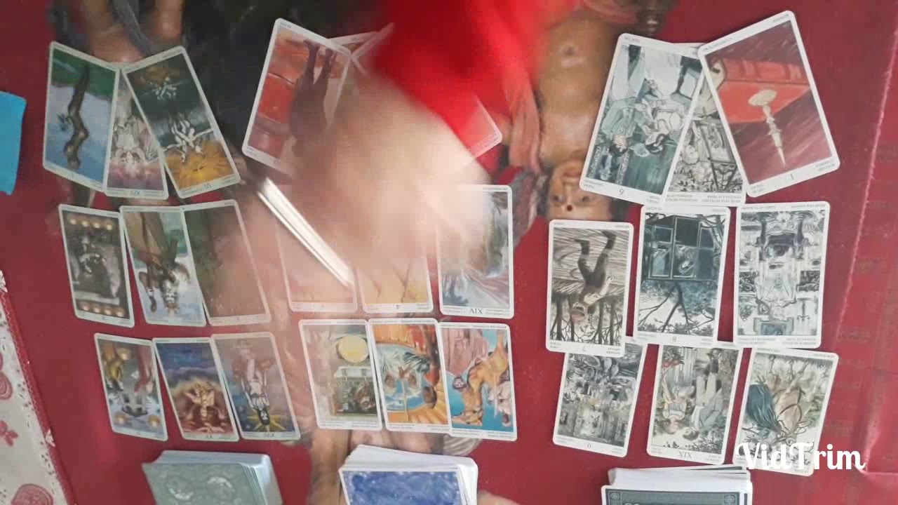 HOR&Oacute;SCOPOS 2019 (PRIMERA PARTE)
