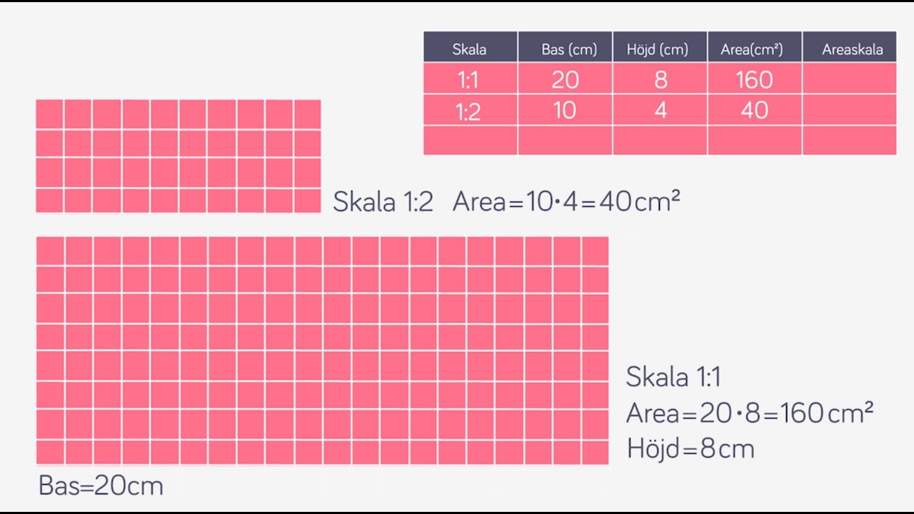 Skala - Areaskala: Förminskning jämfört med verkligheten - Åk 4-6