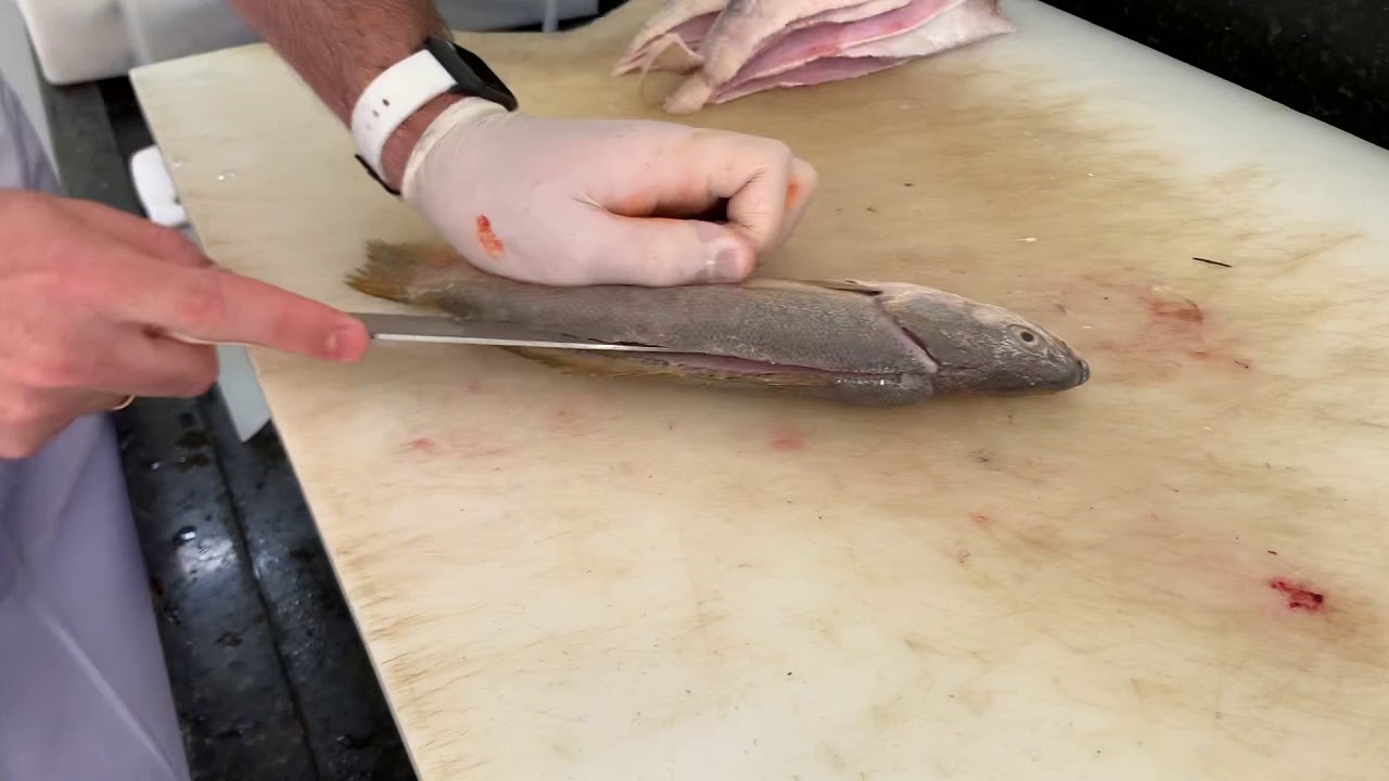 Como limpar peixe Pescada branca Joel