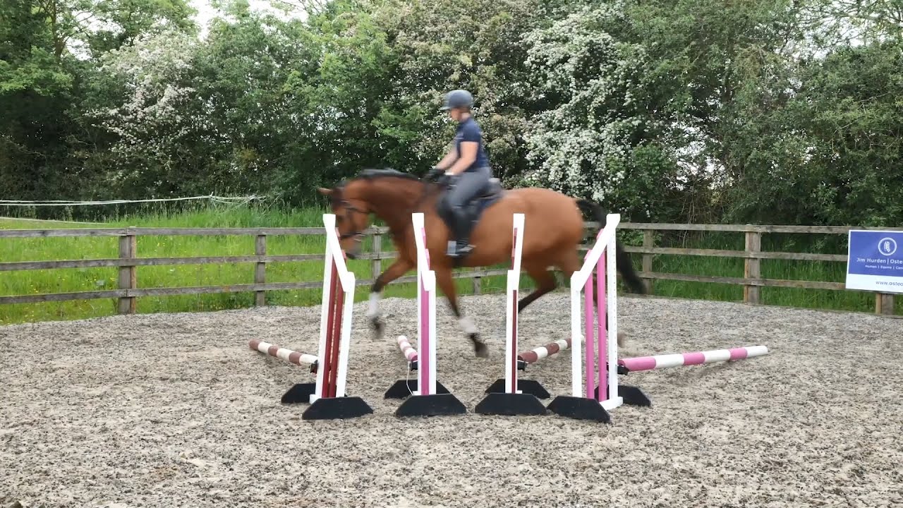 Horse Exercises | Fan of Poles Ridden – Trot