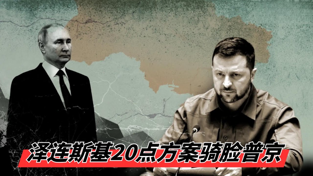 和平方案实为