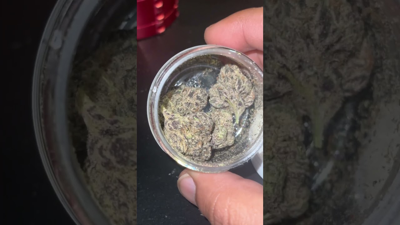 Lemon Cherry Gelato⛽️⛽️ 22% THCA (Preston Hemp Co)