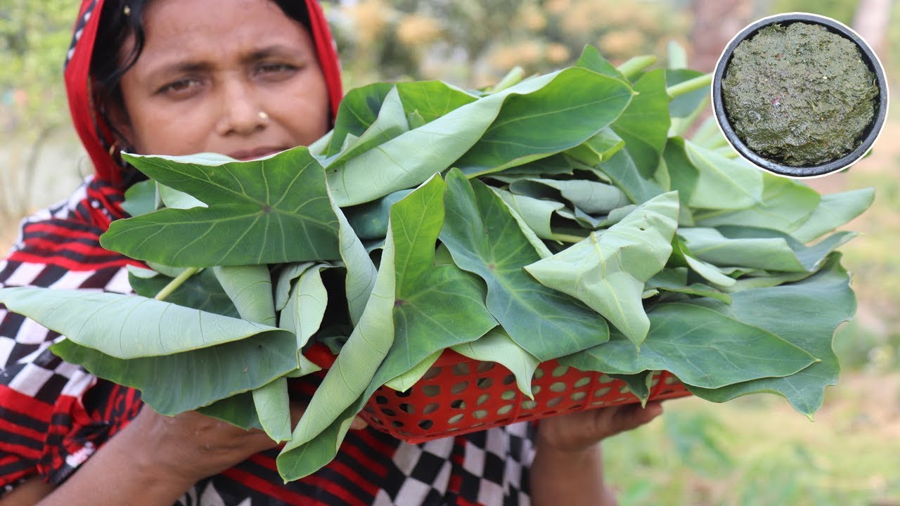 Farm Fresh Kochu Pure Vorta Recipe Healthy & Tasty Green Taro Leaf Paste Cooking Village Food