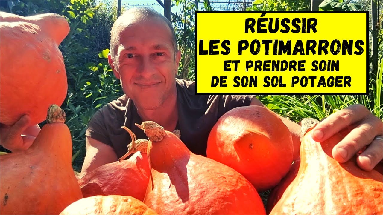 La culture du potimarron au potager ► Itinéraire sol vivant 2022