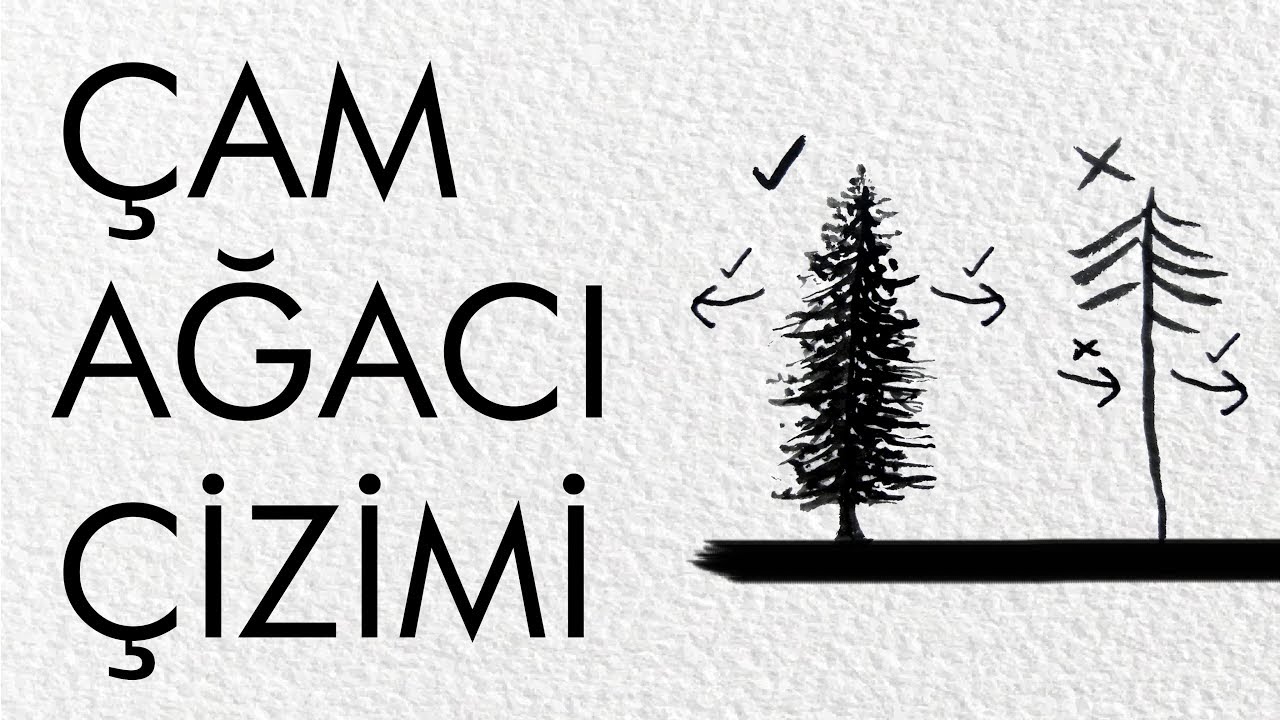Nasıl Yapılır: Suluboya Çam Ağacı Çizimi