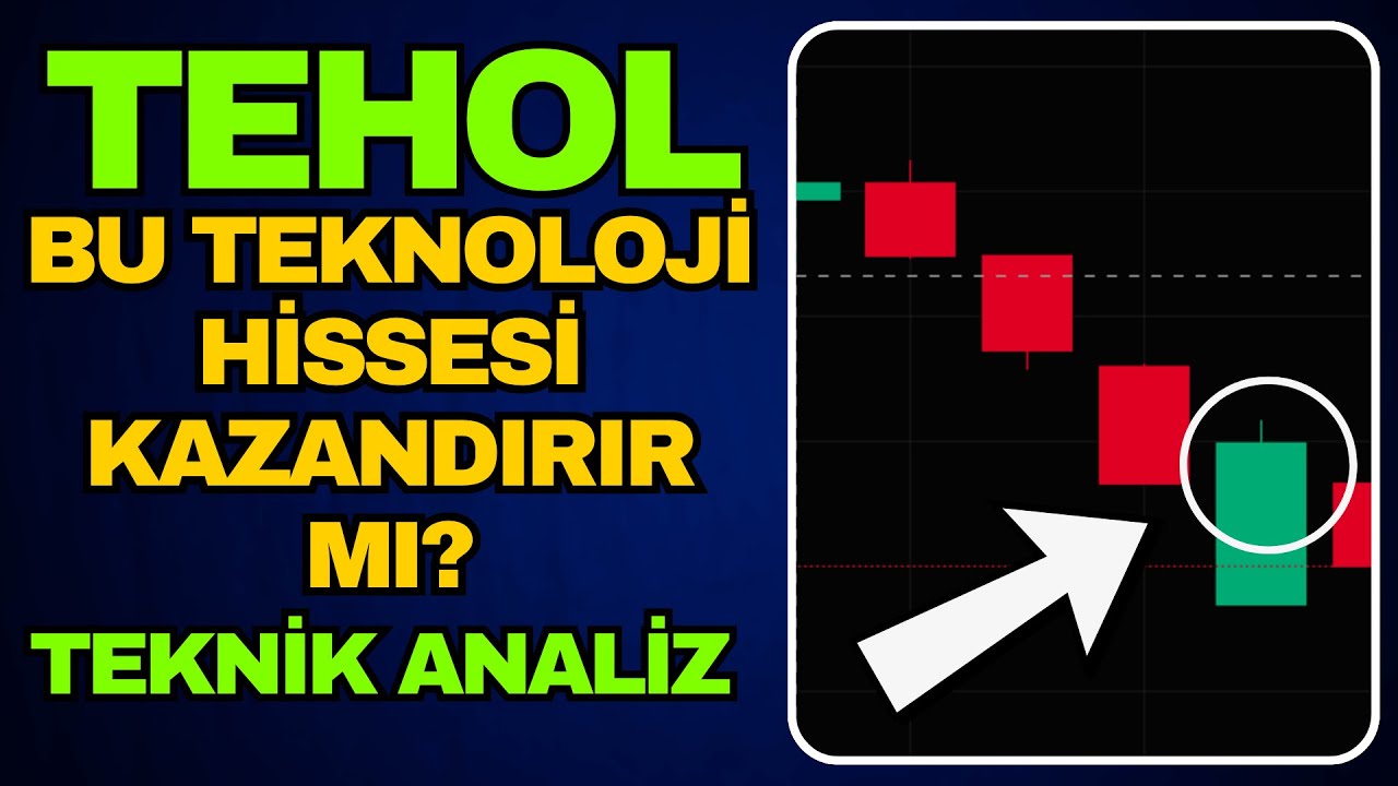 Tera Yatırım Teknoloji Holding - TEHOL Hisse Yorum