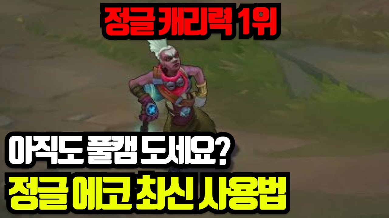에코 그렇게 쓰시면 안됩니다. / 정글 에코 사용법