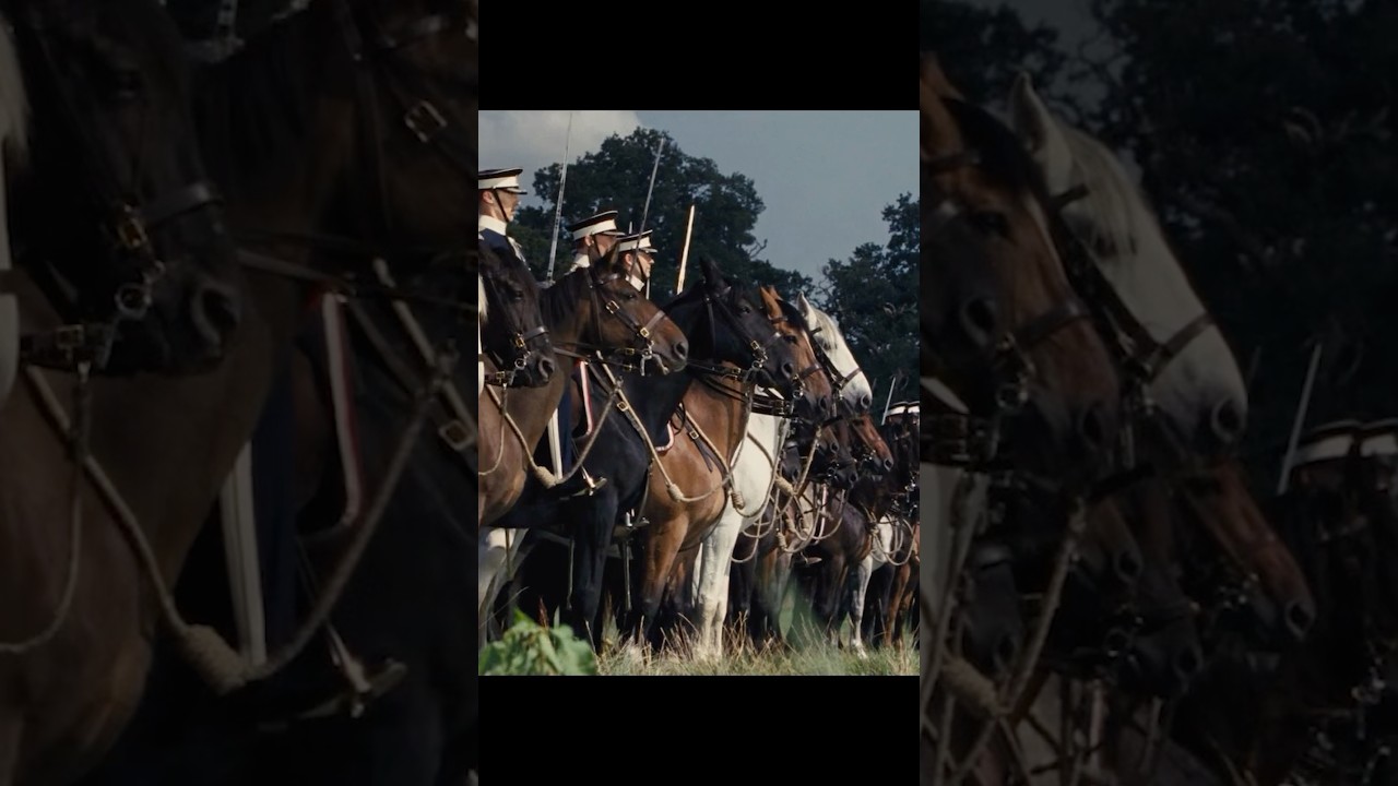 WWI British Cavalry Charge - War Horse #worldwar1 #militaryhistory #history #warhorse #ww1 #military