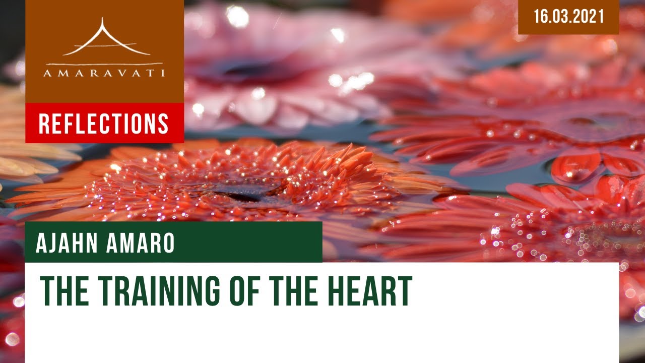 The Training Of The Heart | Dhamma Reflection | 16.03.2021