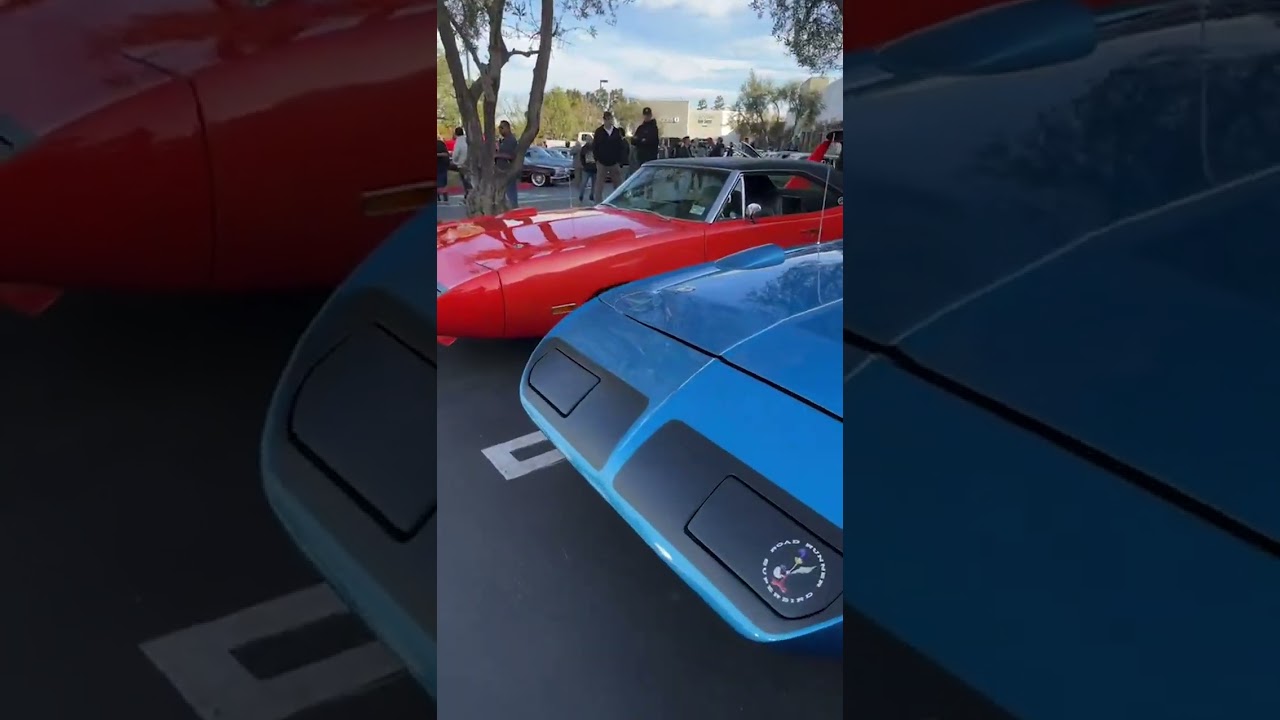 Live at the 46th @qruisinpch Quarantine Cruise