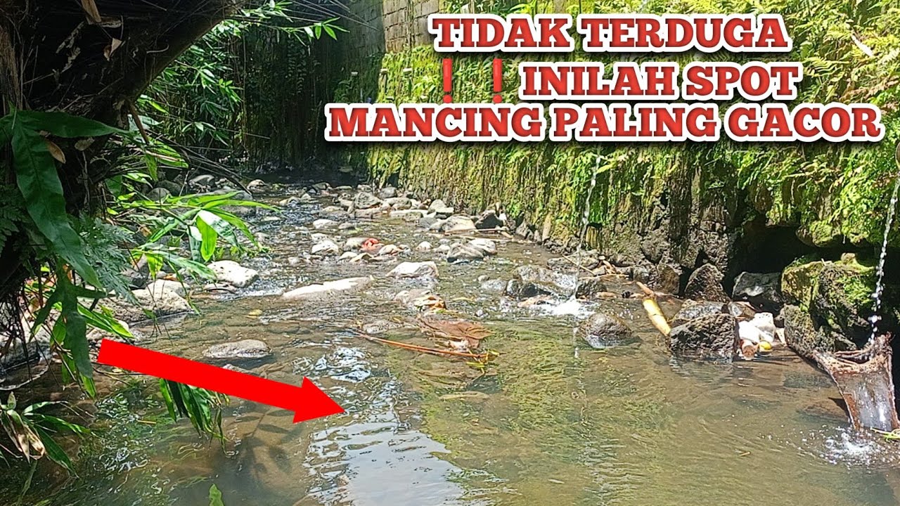 TIDAK TERDUGA ⁉️ INILAH SPOT MANCING SUNGAI KECIL PALING GACOR ⁉️TERNYATA LOKASI INI GACOR  IKANNYA