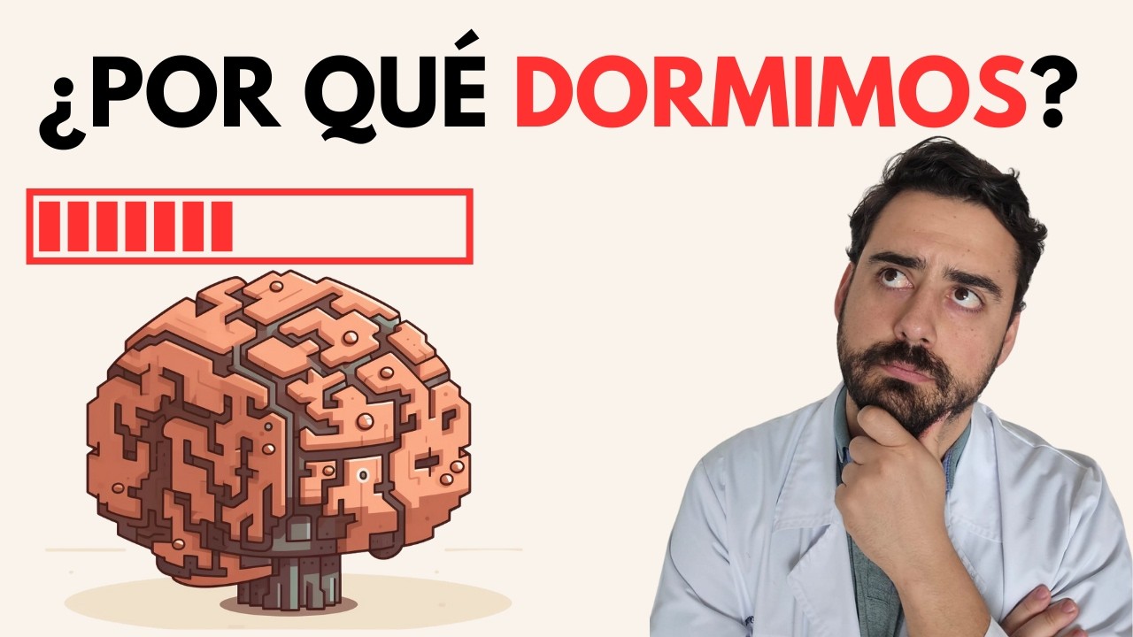 &iquest;Por qu&eacute; es tan importante el sue&ntilde;o para nuestro cuerpo?