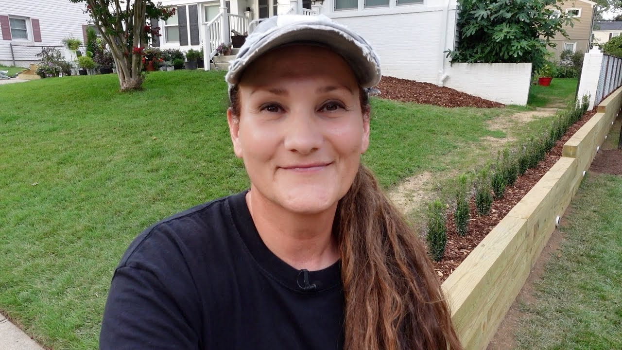 Planting a Sky Pencil Holly Hedge by the Retaining Wall / Dirt and Dish