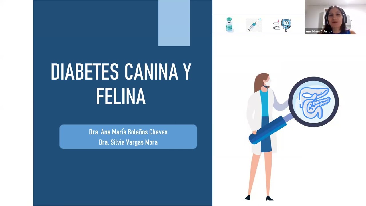 Diabetes Canina y Felina