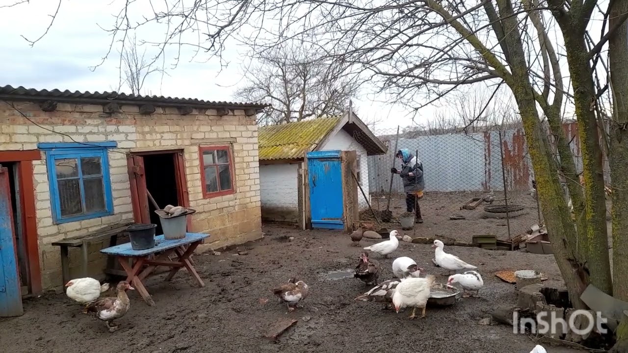 Жизнь в селе/