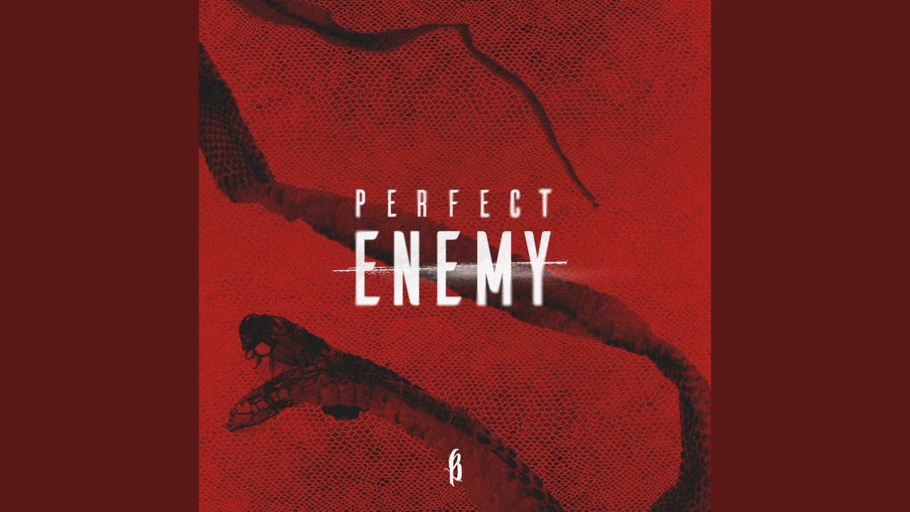 Perfect Enemy