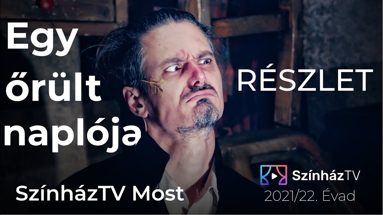 Egy őrült naplója | SzínházTV Most | Részlet