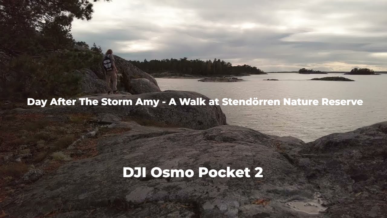 Day After The Storm Amy - A Walk at Stend&ouml;rren Nature Reserve