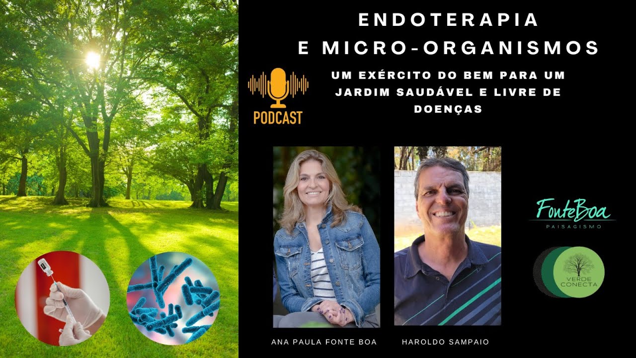 A endoterapia vegetal e a utilização de micro-organismos para a plena saúde do seu jardim.