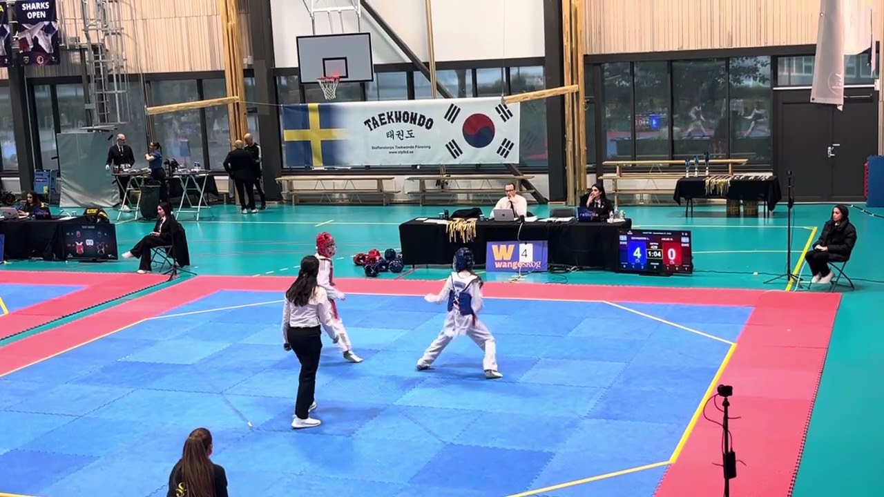 Svenska Cupen 2 Malmö #taekwondo #sweden # 