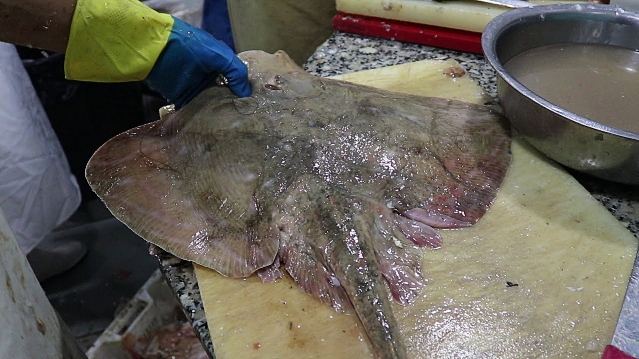 BEST STINGRAY FILLETING CHEF IN THE WORLD