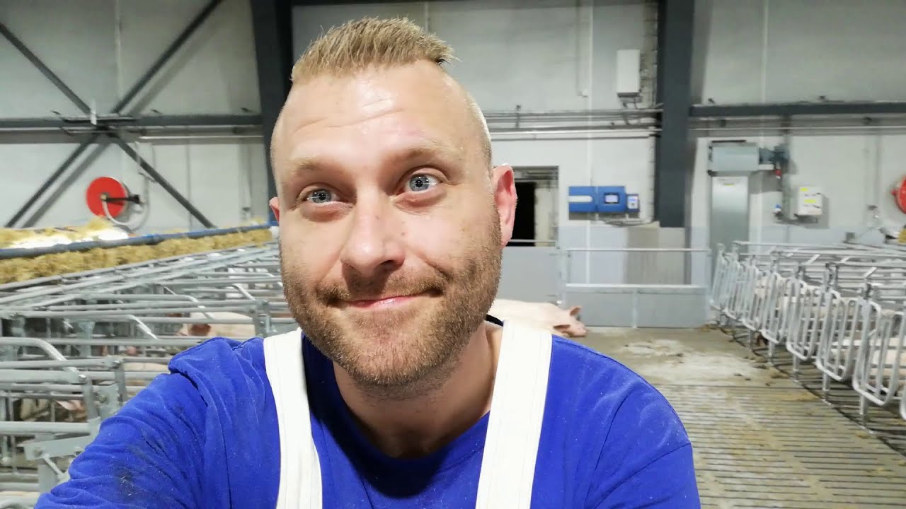 En dag i STALDEN #5 - Sætter grise i diamanten.