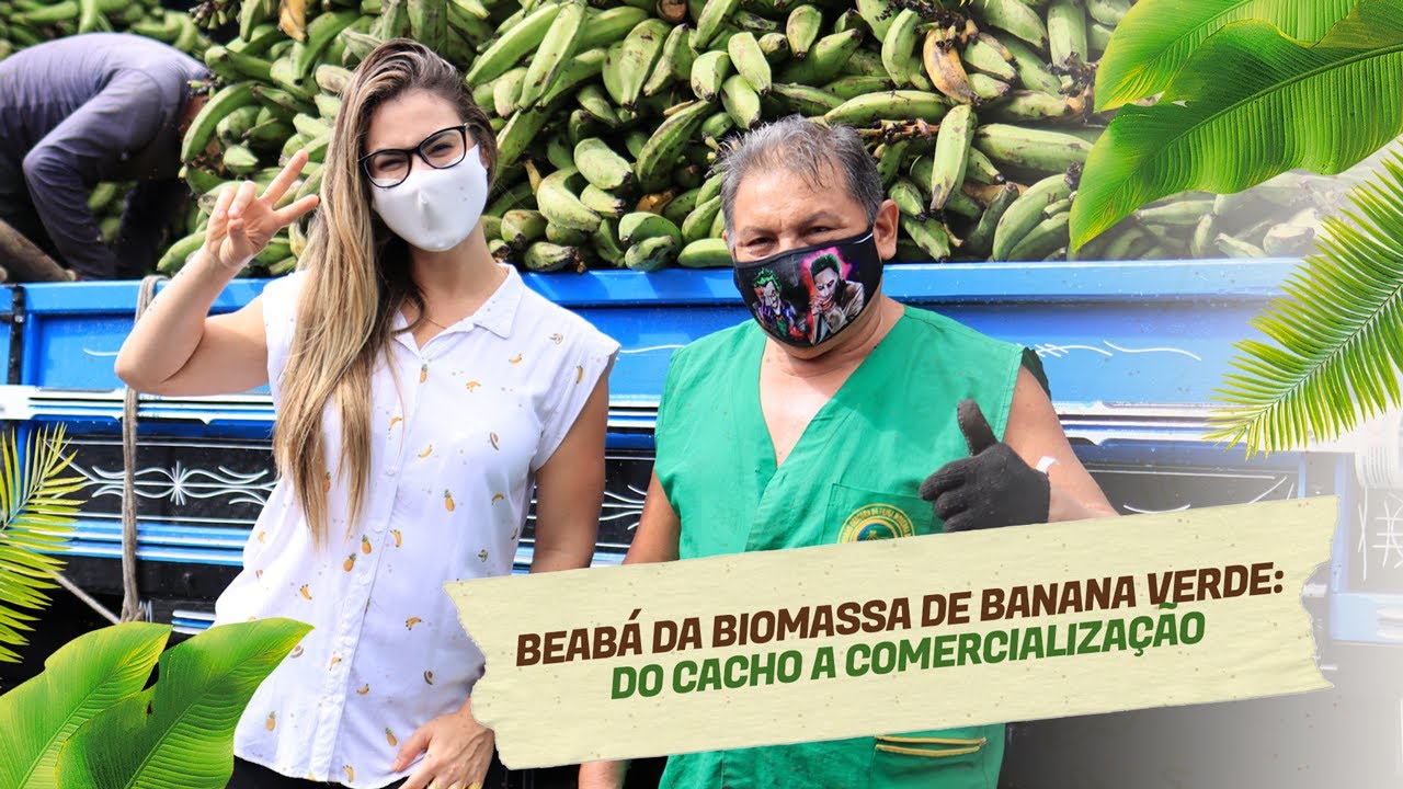 Beabá da biomassa de banana verde: do cacho ao uso na confeitaria funcional