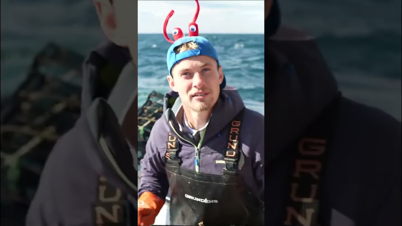Using slime eels as lobster bait #maine #lobster #sustainable #seafood #interesting #education #eel