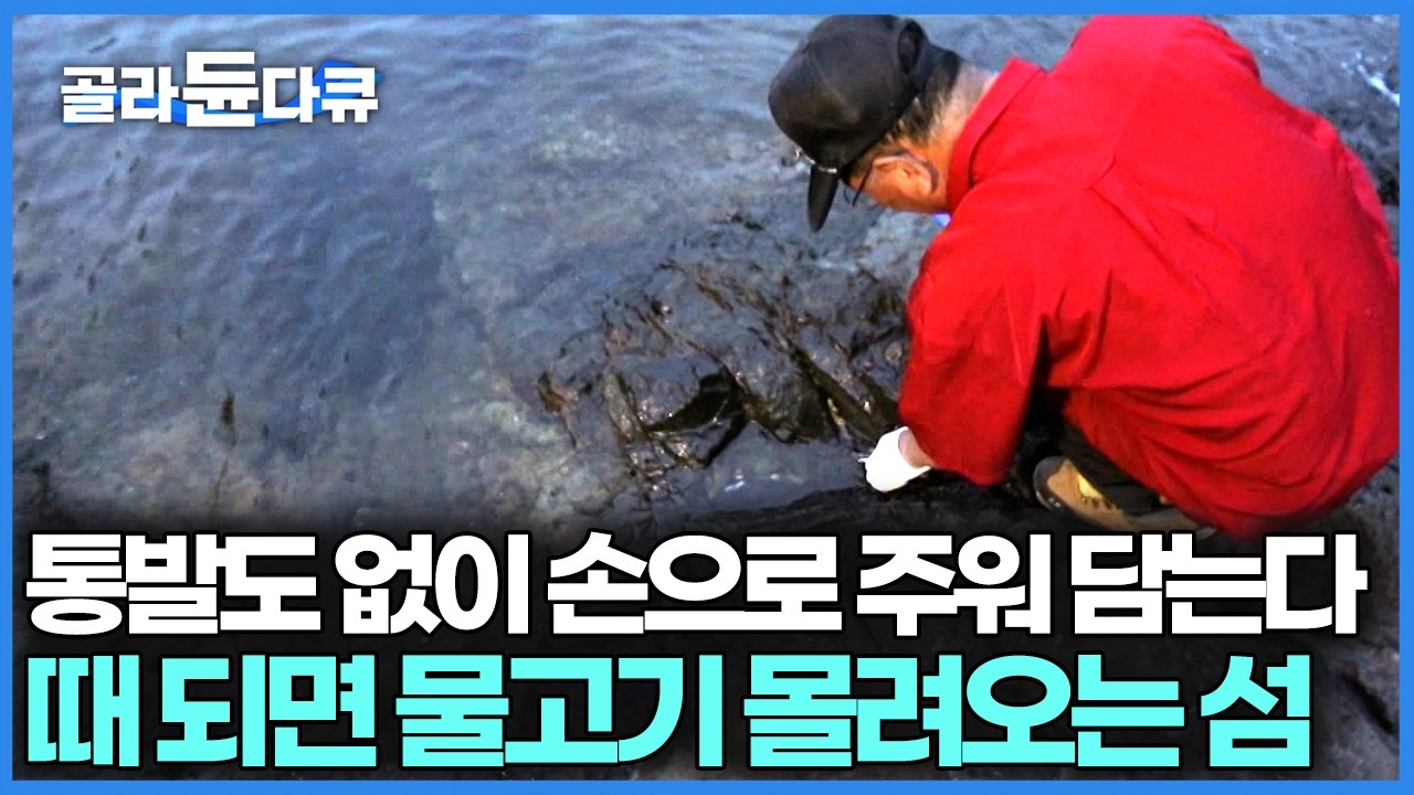 물고기와 약속이라도 한 듯 매일 같은 시간에 집 앞에 나가는 아저씨, 진짜 물고기가 한가득 몰려와있다｜한국기행｜#골라듄다큐