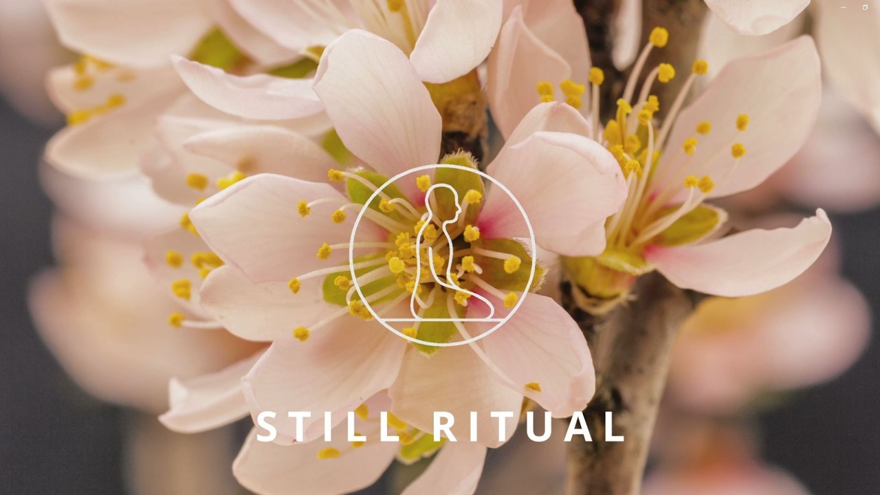 Morning Identity Reset Meditation | Reprogram Your Self Concept & Create a New Version of You