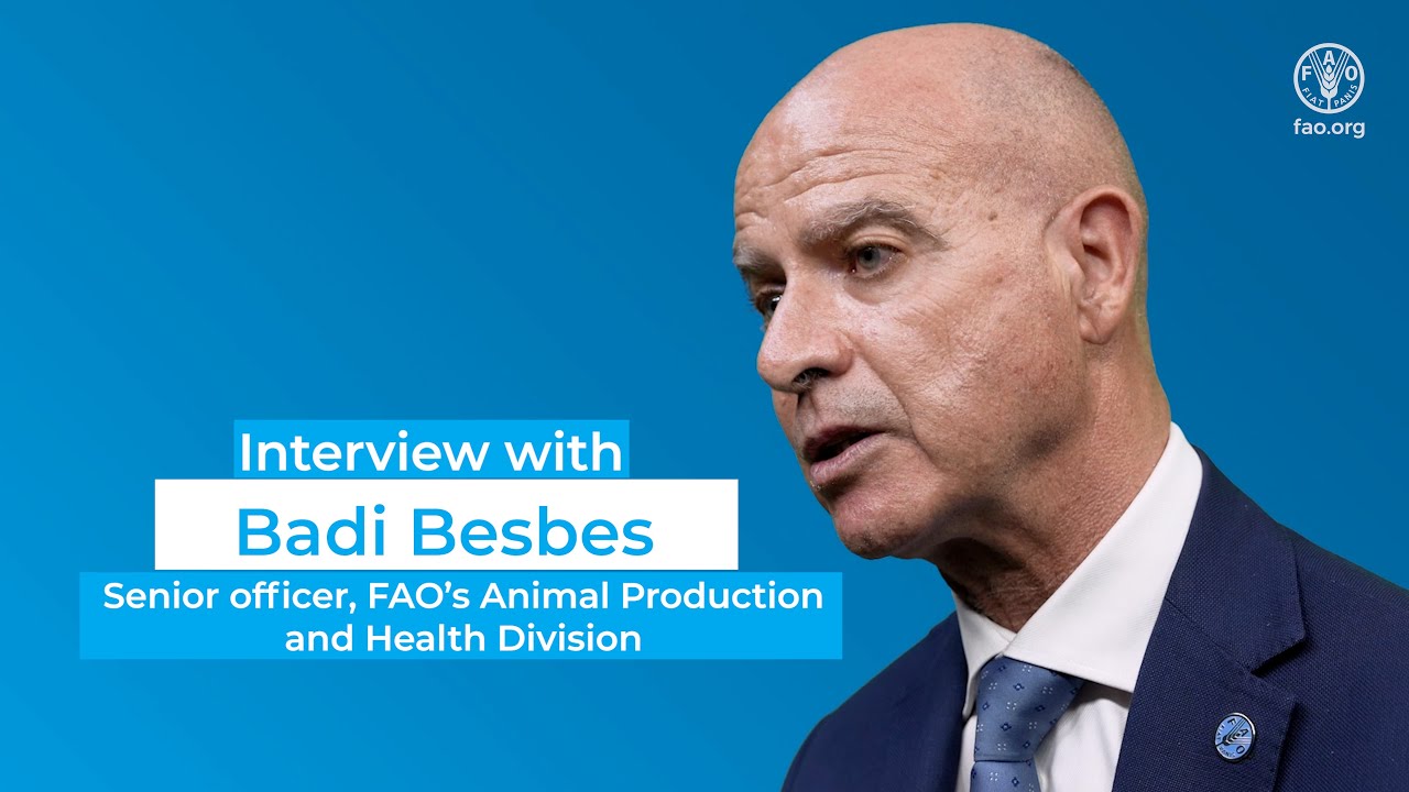 International Year of Camelids 2024: interview with Badi Besbes