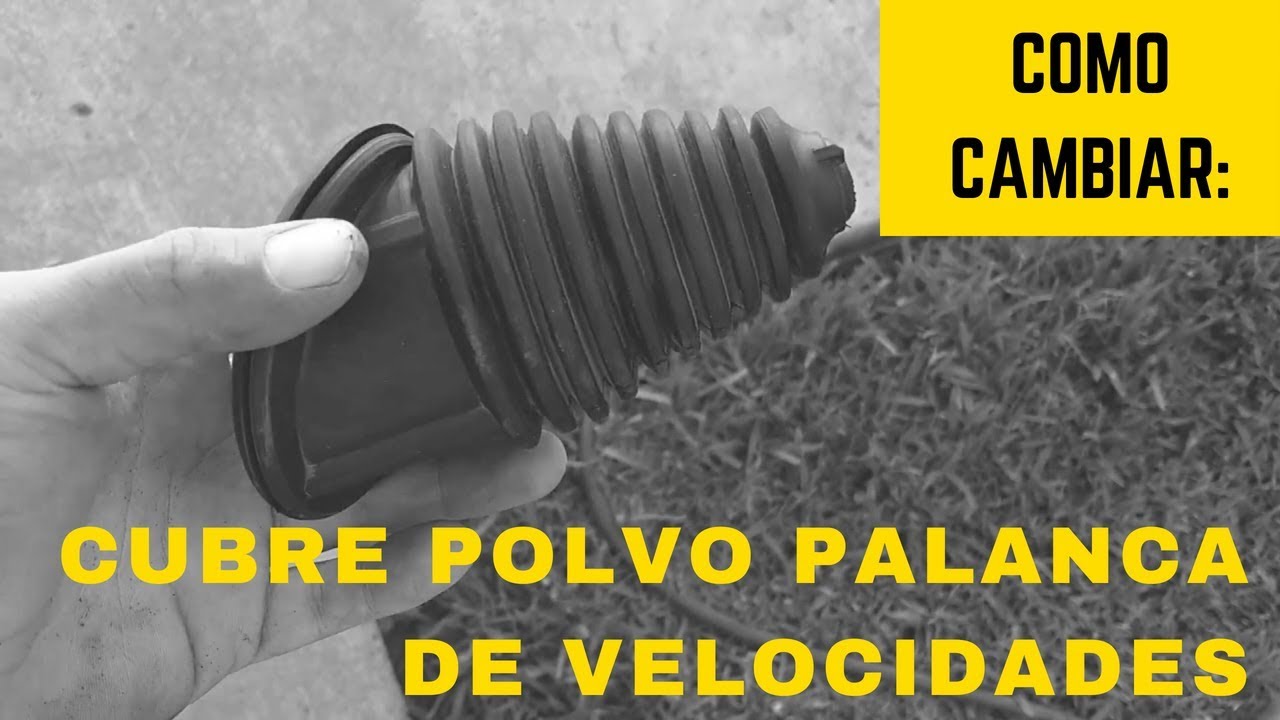 Cambio de Cubre Polvo Palanca de Velocidades