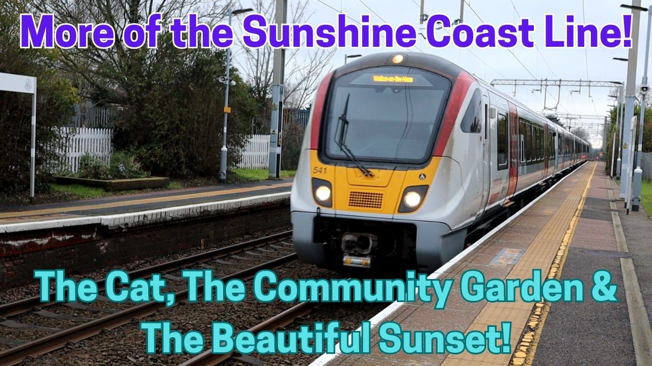 Ещё немного о маршруте Sunshine Coast Line — Кот, Общественный сад и Прекрасный закат!