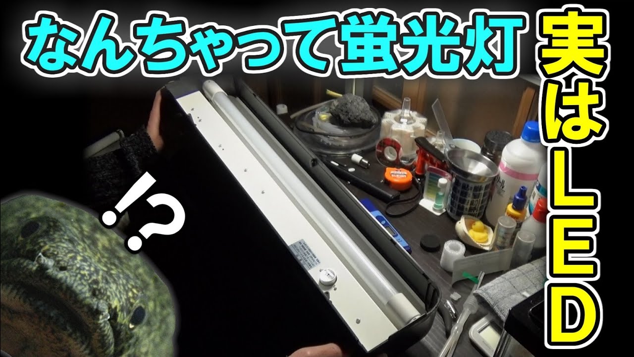 【アクアリウム】 直管ＬＥＤランプ 【器具】