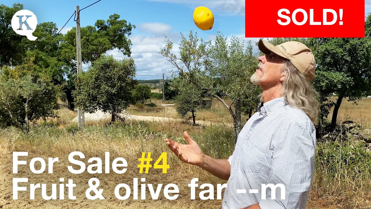 Farm for sale in Portugal! Directly from the owner, Castelo Branco area, 0.75ha, 40.000€