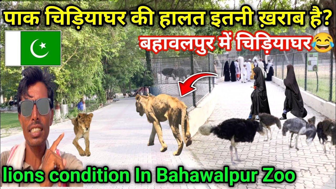 Bahawalpur Chidiyaghar Ki Kya Halat Hai || Visit Bahawalpur Chidiyaghar In Pak🇵🇰 || Maahir Ram Vlogs