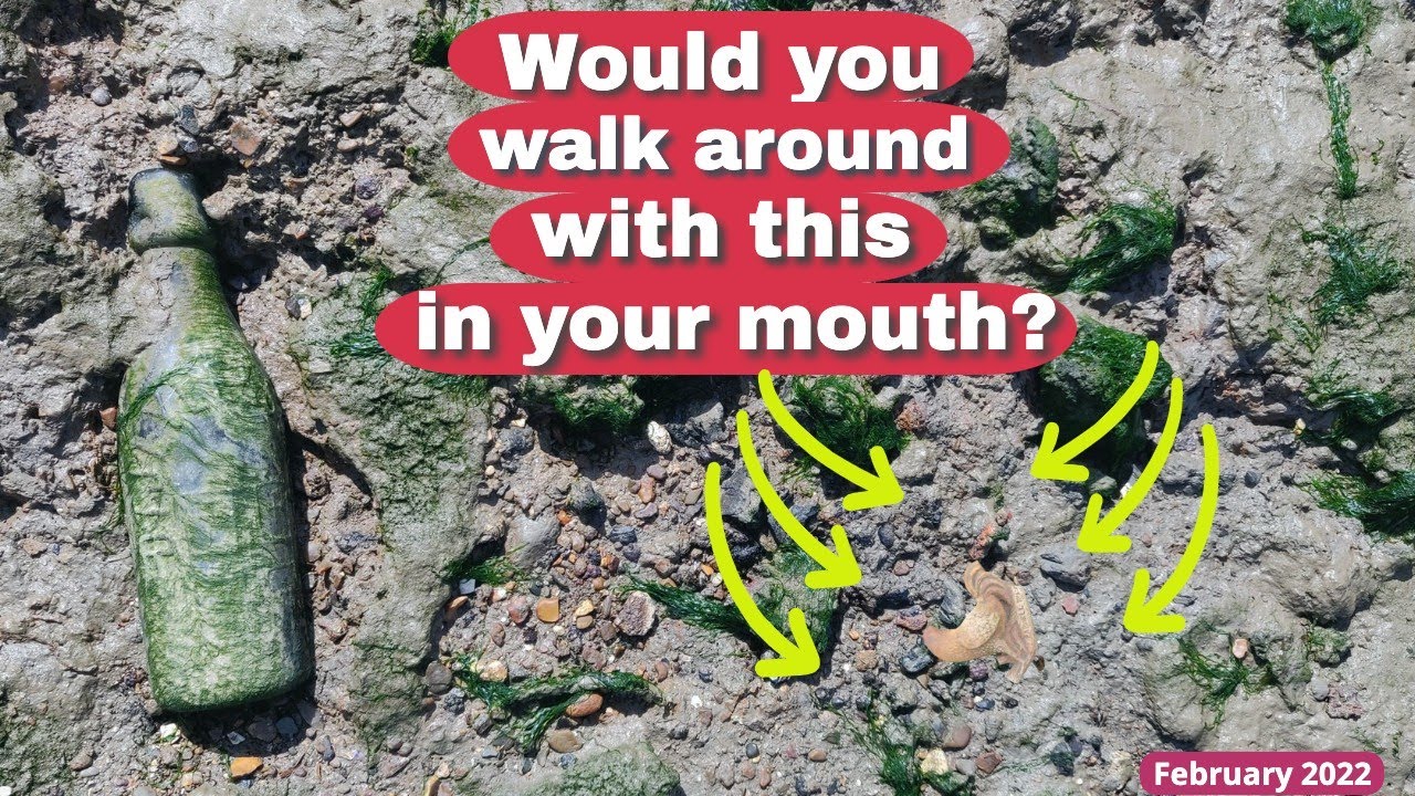Mudlarking Lost Treasures - Odd Things our Ancestors put between their Lips, Poison & Quack Cures!