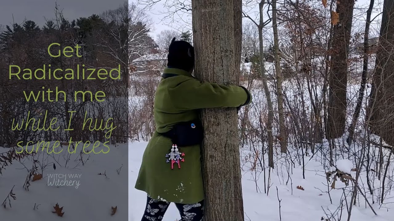 Hugging Some Trees & Reasons Why I Do It