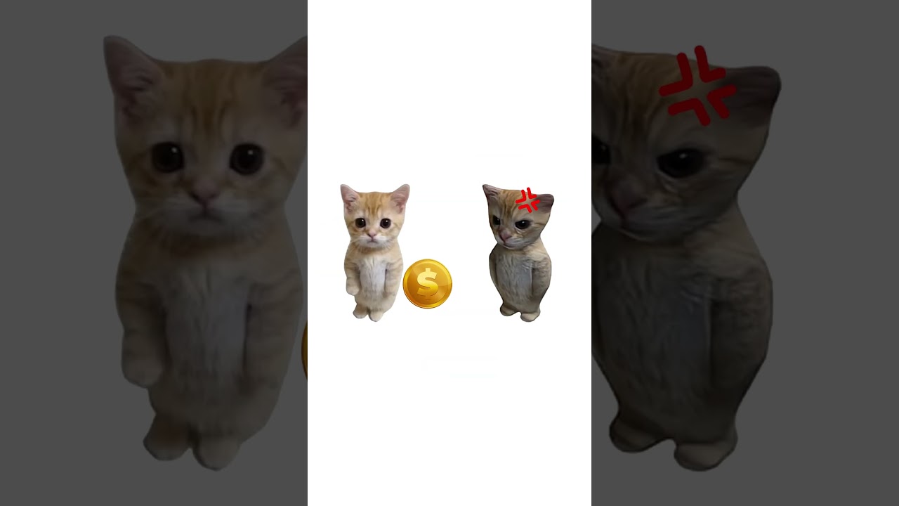 КАК РАБОТАЮТ ЧИТЫ В STANDOFF 2, ОБЪЯСНЯЮ НА КОТЯТАХ