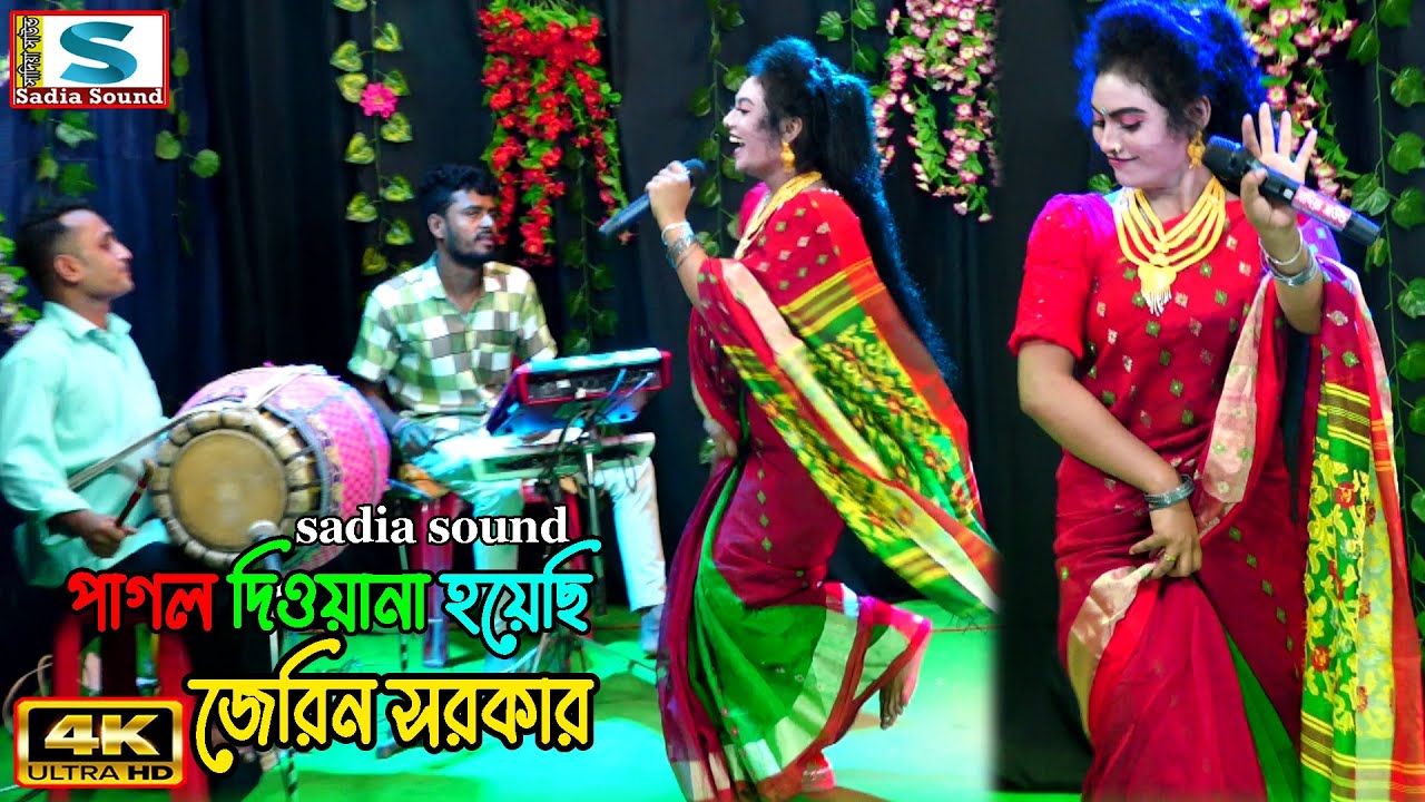 পাগল দিওয়ানা হয়েছি ।। জেরিন সরকার ।। &zwj;sadia sound