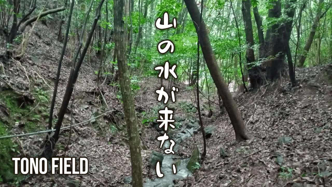 【水路】山から水がこない/水源地までメンテナンスに