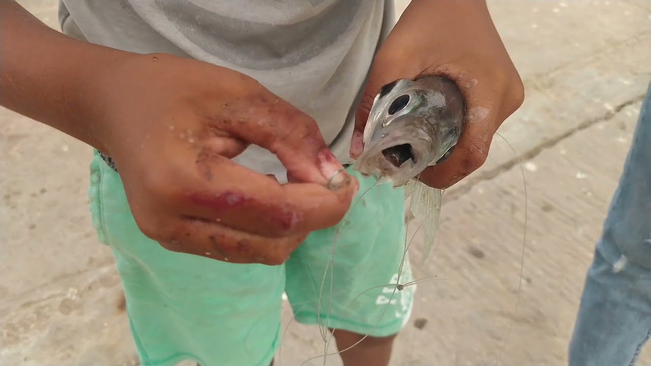 A wonderful day with friends at Tarfaya port fish fishing يوم روعة رفقة الأصدقاء بميناء طرفاية