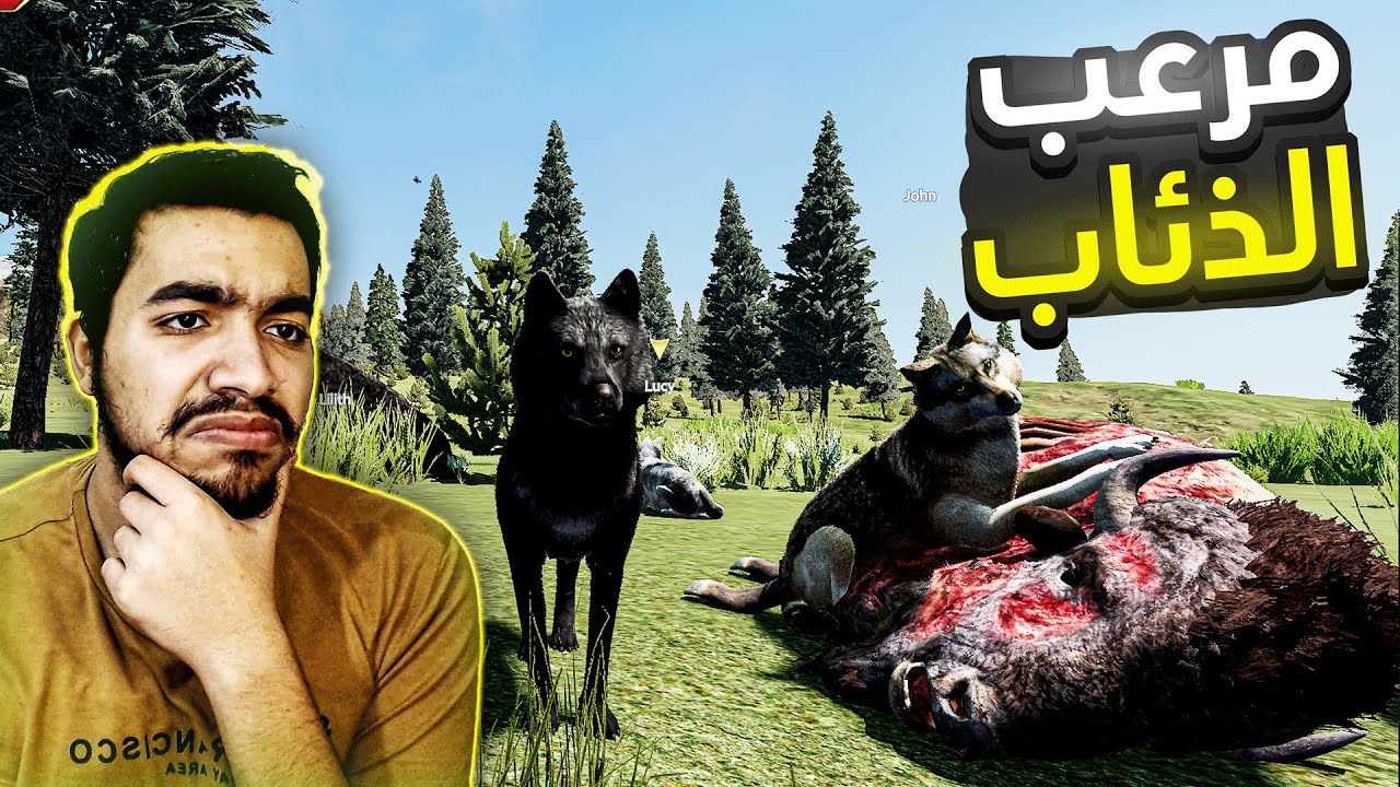 حياة الذيب #6 : مواجهة مرعب الذئاب ثور البايسون! WolfQuest: Anniversary Edition