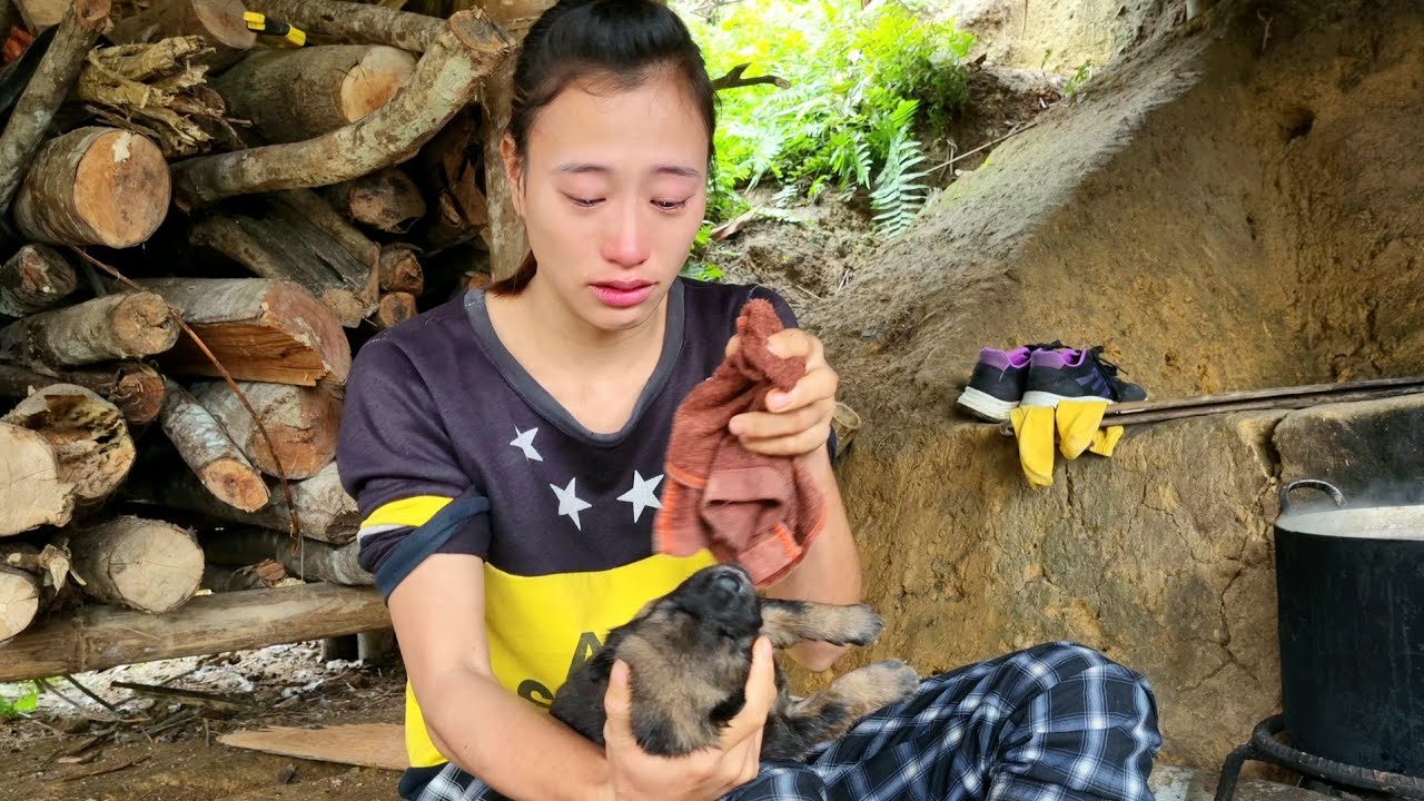 FULL VIDEO: 30 Days alone Building Farm Pigs, Chickens, Goats, Duck | Ban Thi Diet