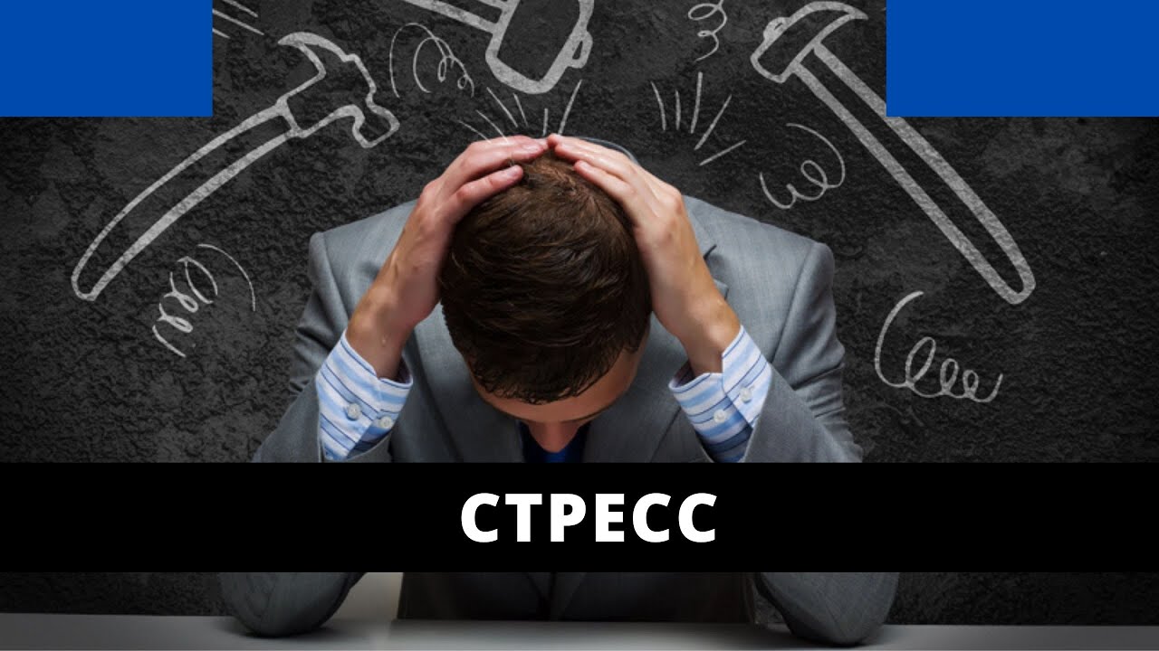 Стресс | 1-бѳлүм | үй-бүлөлүк психолог | Нурбек Богачиев