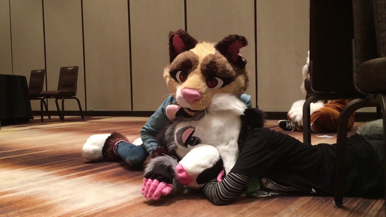 FWA 2017